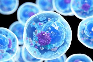 什么是自体免疫细胞回输